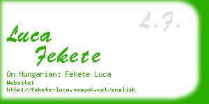 luca fekete business card